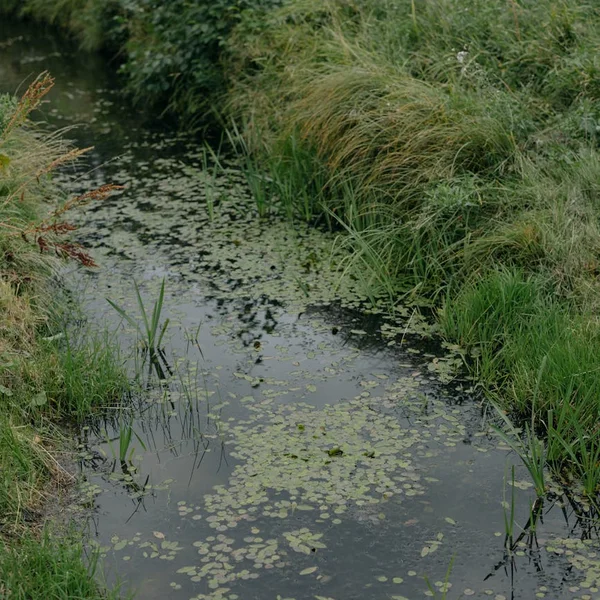 博万体育老虎机