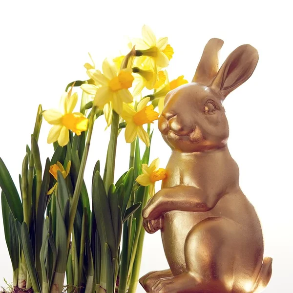 博万体育棋牌游戏